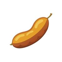 Tamarind fruit isolated flat illustration on white background vector