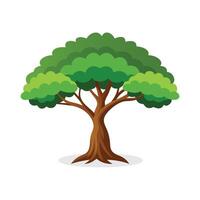 Tamarind tree isolated flat illustration on white background. vector