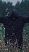 Portrait of ghost with outstretched arms in nature. Scary figure of death in black robe in the field. Horror face of a devil in hood. Vertical video