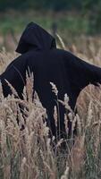 Scary evil figure in nature. Back view on scary ghost in black robe turning with outstretched arms on wheat field. Halloween concept. Vertical video