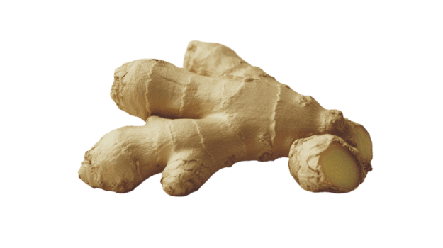 Ingwer Wurzel breitet sich aus künstlerisch, präsentieren es ist texturiert Oberfläche und erdig Farbe Palette. png