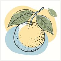 An orange with leaves and a leaf on it vector