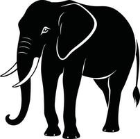 An elephant is standing in a black silhouette vector