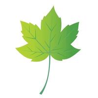 green leaf icon design, green leaf gradient color, green leaf icon vector