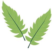 green leaf icon design, green leaf icon flat design, cool leaf icon vector