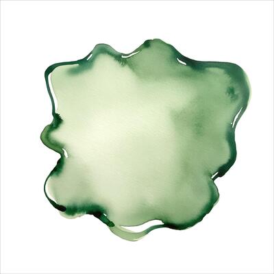 Pastel green watercolor shape, stain, blob. Hand drawn watercolor splash