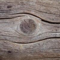 A close up of a wood texture with a hole in it photo