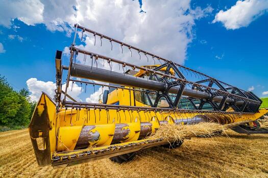 Heavy technics in wheat field. Low angle view of the yellow combine harvesting dry wheat. Observing process. Front view photo