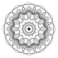 Ornamental Realistic Mandala Pattern vector