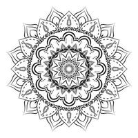 Pattern Realistic Background Mandala vector