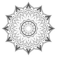 Intricate Realistic Mandala Pattern vector