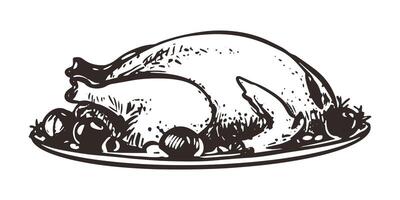 Hand drawn roast turkey in a plate with vegetables. sketch of Christmas dish in engraving style. Baked chicken with vegetables on a plate for thanksgiving party. Linear ink drawing. vector