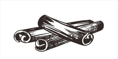 Sketch of cinnamon sticks. Dried Cinnamomum bark in woodcut style. Ink drawing of the aromatic spice. vector