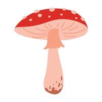 Fly agaric illustration with red mushroom cap and white spots isolated on white background. Autumn forest poisonous mushroom. Fall season flora vector