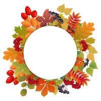 round frame for banner with autumn leaves and fruits vector