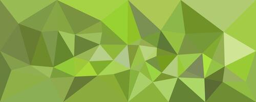 Light Green Geometrical Shape Polygonal Background Abstract Banner vector