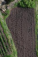 A person left traces in the garden while planting seeds. View from above. photo