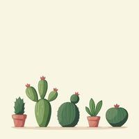 A collection of five different potted cacti and succulents arranged in a row against a light background. vector