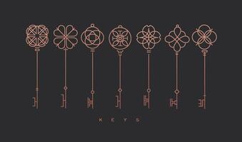 Set of key collection in modern line style drawing on bronze background. vector