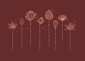 Flowers long stem drawing in art deco style on red background vector