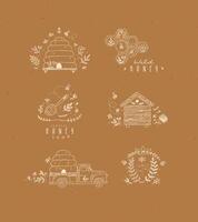Honey collection of labels, beehive, honeycomb, spoon with flower and branches drawing in graphic style on mustard background vector
