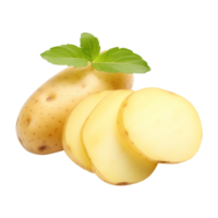 Raw potato slice cutout on transparent background png