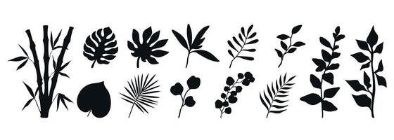 Set of various plants silhouettes. Branches, leaves and botanical elements isolated on white background vector