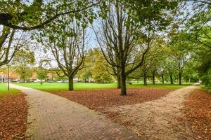 A path in a park with trees and grass photo