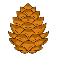 Pine or fir cone, forest tree fruit. Botanical flat outline simple element, color illustration. For logo, sticker, print, web design, scrapbooking png