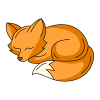 Cute sleeping fox. Forest predatory mammal animal, fall seasonal concept. Flat simple element, color illustration. For logo, sticker, print, web design, scrapbooking png