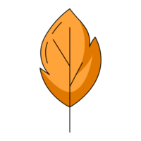 Autumn orange aspen leaf. Fall seasonal concept. Flat simple element, color illustration. For logo, sticker, print, web design, scrapbooking png
