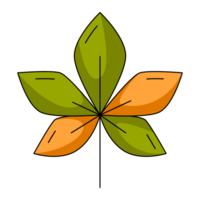 Autumn green and orange chestnut leaf. Fall seasonal concept. Flat simple element, color illustration. For logo, sticker, print, web design, scrapbooking png