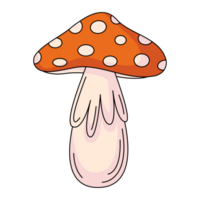 Amanita mushroom, poisonous fly agaric. Flat simple element, color illustration. For logo, sticker, print, web design, scrapbooking png