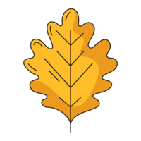 Autumn yellow oak leaf. Fall seasonal concept. Flat simple element, color illustration. For logo, sticker, print, web design, scrapbooking png