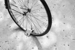 Front wheel of a bicycle against shadow Front wheel of a bicycle photo