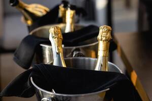 Two bottles of champagne in cooler bucket with ice Attributes of luxury photo