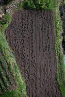 A person left traces in the garden while planting seeds. View from above. photo