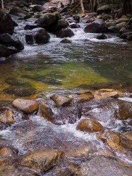 el corriente fluido mediante el rocas en bosque. foto
