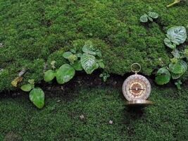 Compass on the rock with green moss background. The concept of world tourism day, Searching the right directions and Travel photo