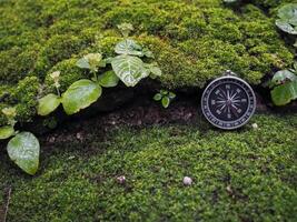 Compass on the rock with green moss background. The concept of world tourism day, Searching the right directions and Travel photo