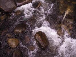 The stream flowing through the rocks in forest. photo