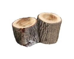 Two stumps, two sawn logs on a white background - isolate for design photo