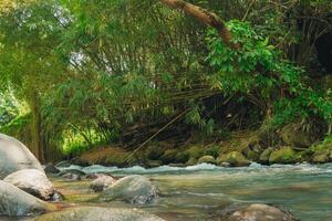 A river with a lot of rocks and trees in Klaten, Central Java, Indonesia. photo