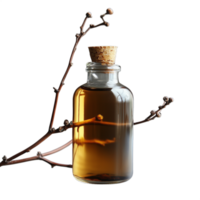 Glass bottle with cork stopper and brown liquid, intertwined with a branch, on a transparent background, showcasing natural and organic essence. png
