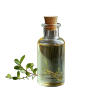 Glass bottle with cork lid containing essential oil and fresh green branch, isolated on transparent background for natural aromatherapy and organic skincare concepts png