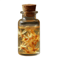 Glass jar with cork lid containing dried marigold flowers submerged in liquid on a transparent background png