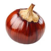 a chestnut isolate on transparent background png