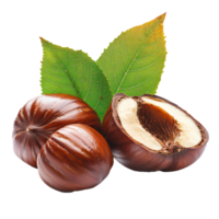 nut isolate on transparent background png