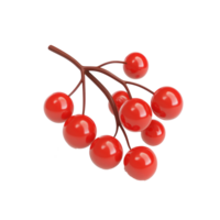 red berries on a branch with a transparent background png