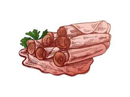 Hand-drawn colored sketch of pork meat, ham slice, prosciutto vintage sketch. Butcher shop. Great for label, restaurant menu. Engraved image. vector